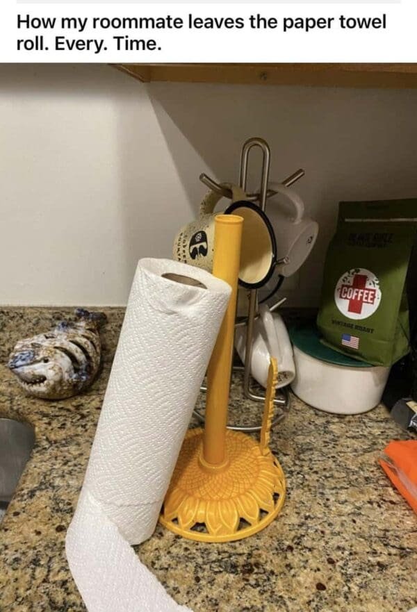 Jokes About Roommates (30 pics)