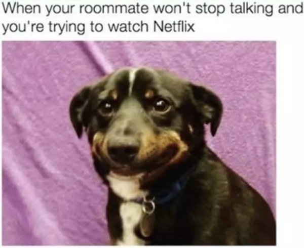 Jokes About Roommates (30 pics)