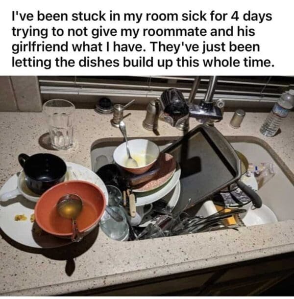Jokes About Roommates (30 pics)
