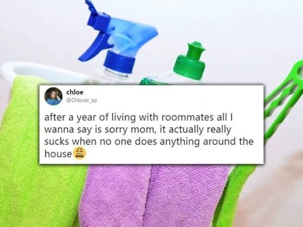Jokes About Roommates (30 pics)