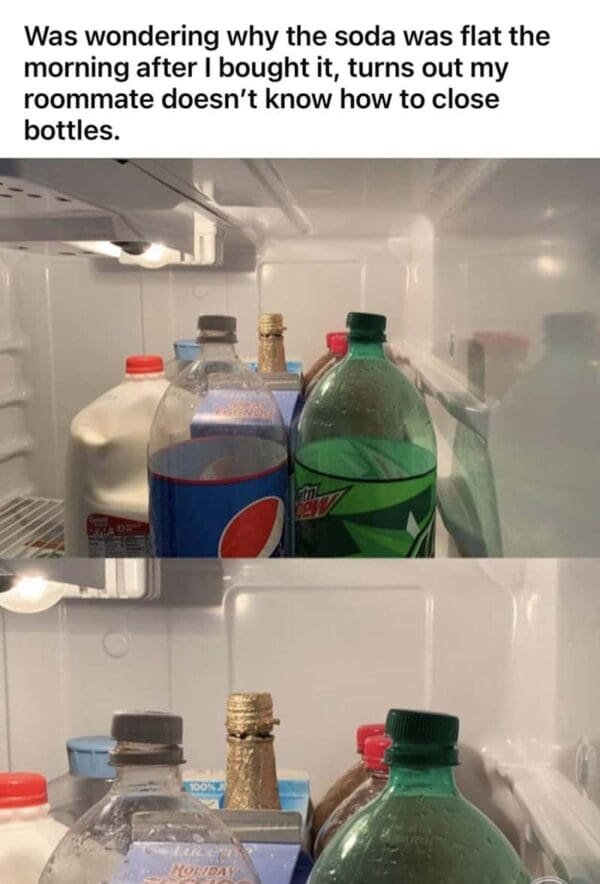 Jokes About Roommates (30 pics)