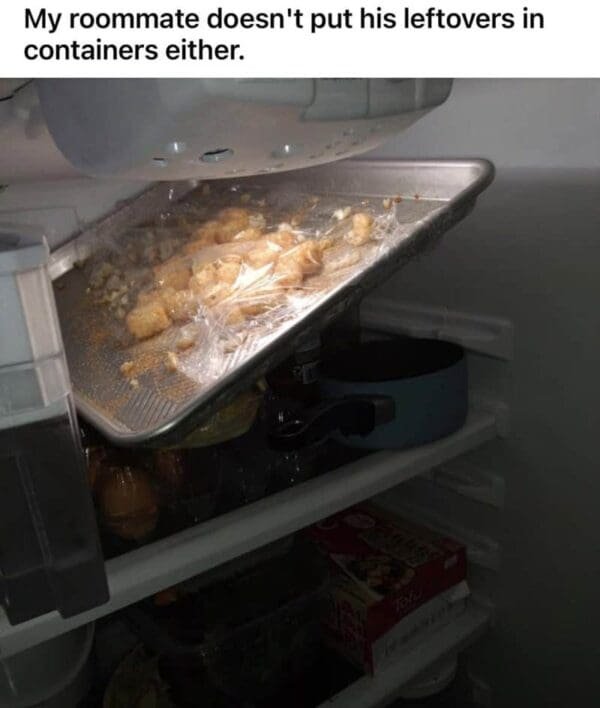 Jokes About Roommates (30 pics)