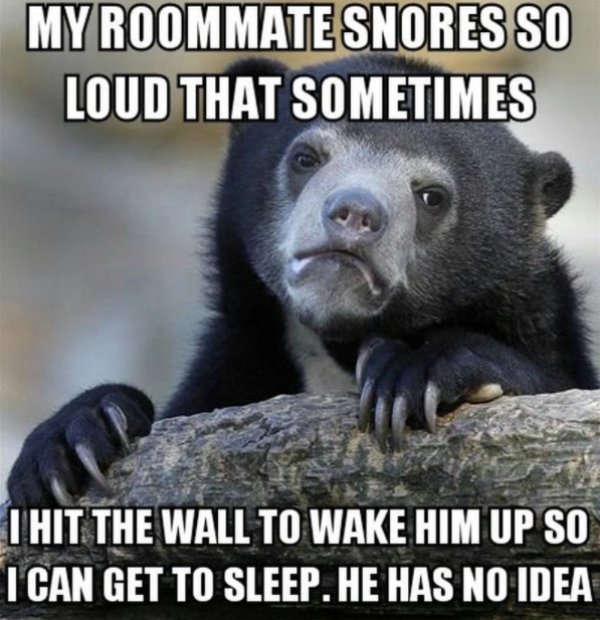 Jokes About Roommates (30 pics)