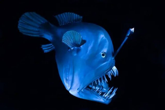Fascinating Photos (25 pics)