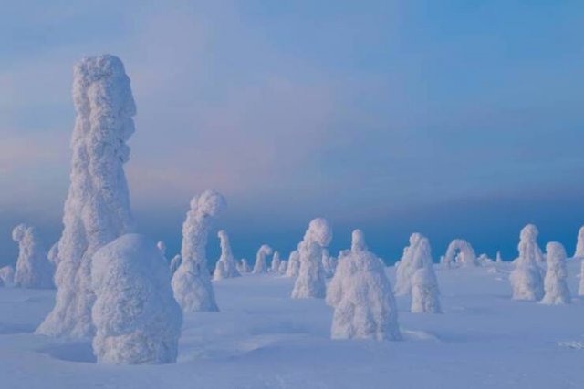 Fascinating Photos (25 pics)