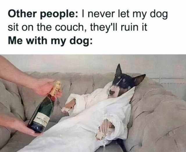 Sarcastic Memes (22 pics)