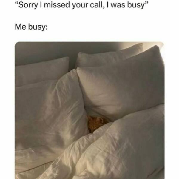 Sarcastic Memes (22 pics)