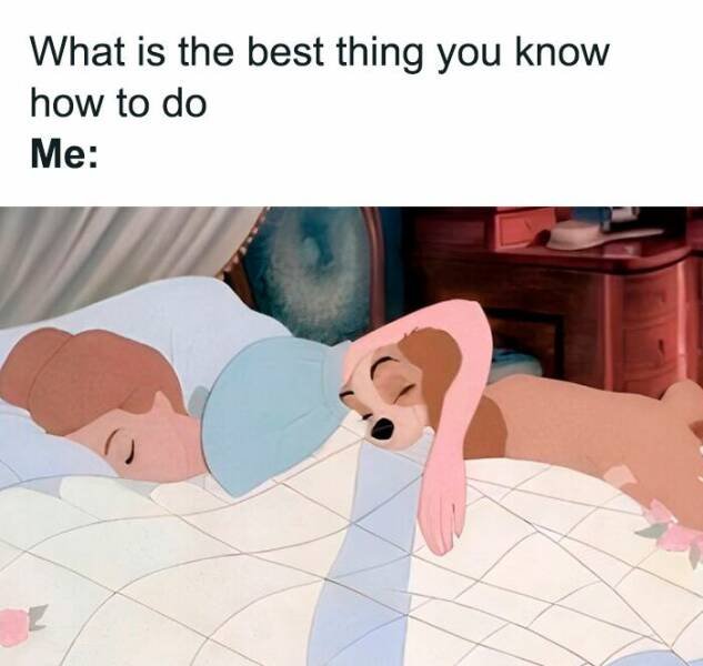 Sarcastic Memes (22 pics)