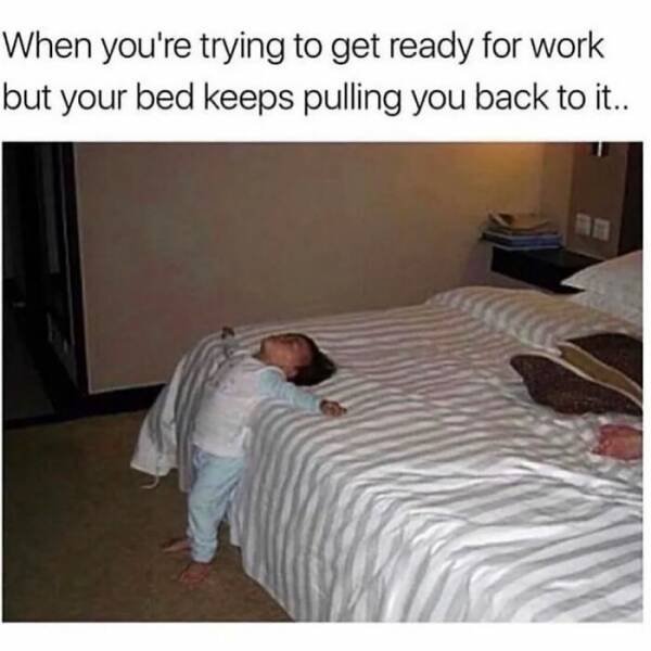 Sarcastic Memes (22 pics)