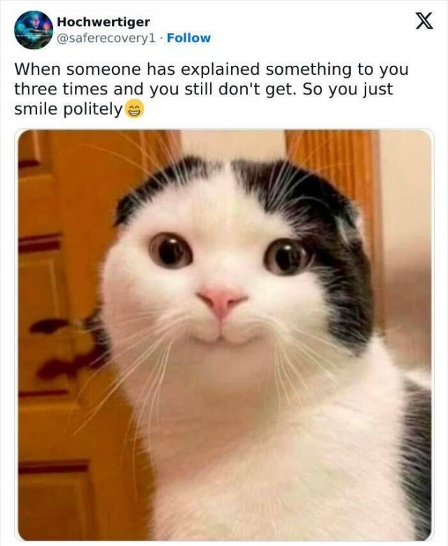 Sarcastic Memes (22 pics)