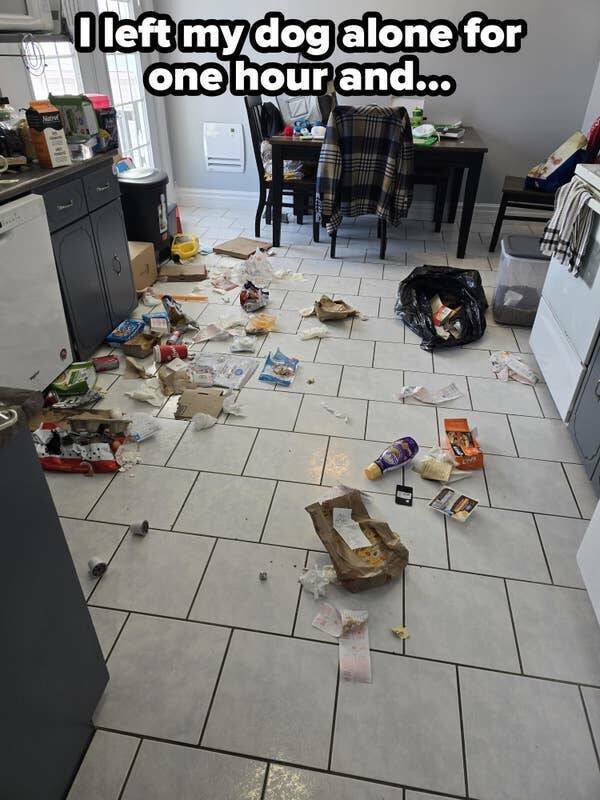 Bad Days Happen (19 pics)