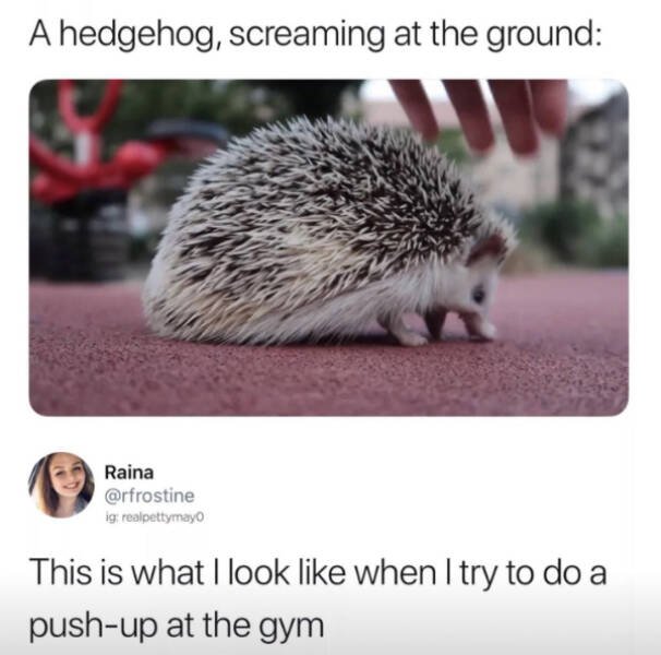 Funny Memes (22 pics)