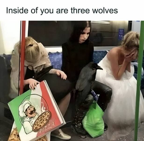 Truthful Memes (23 pics)