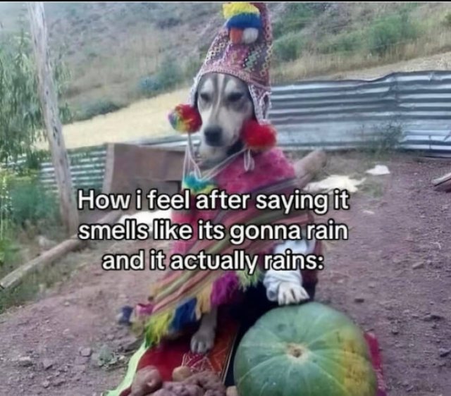 Funny Memes (22 pics)