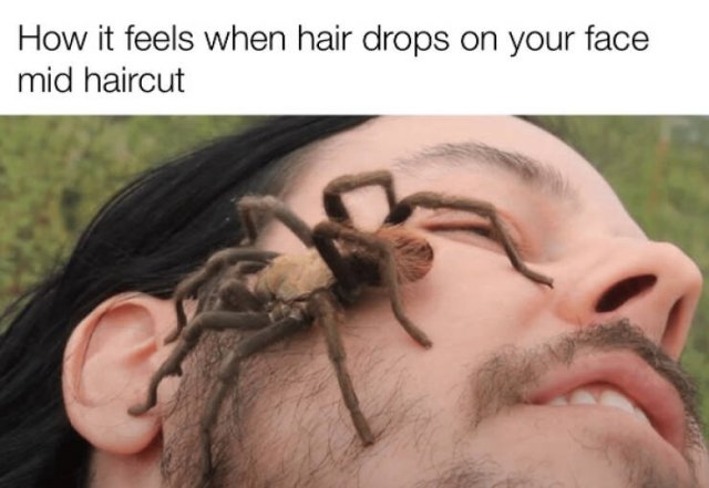 Funny Memes (22 pics)