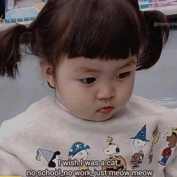 Truthful Memes (23 pics)