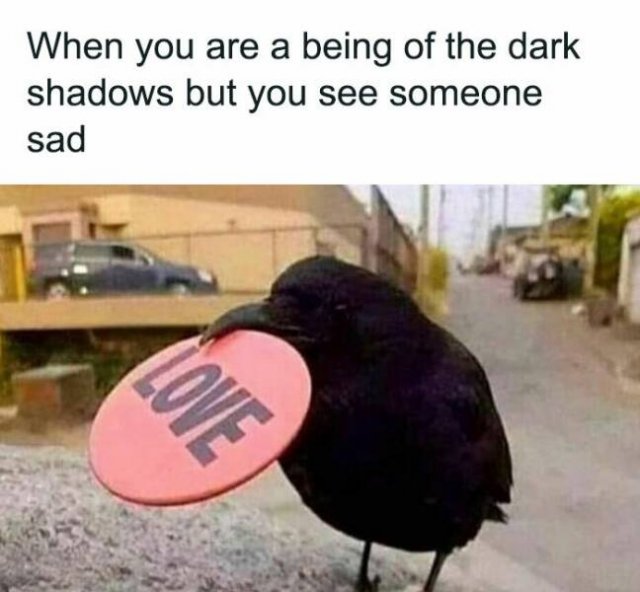 Truthful Memes (23 pics)