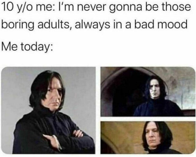 Truthful Memes (23 pics)