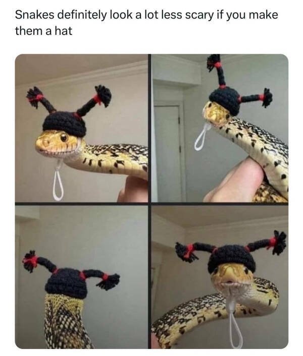 Funny Memes (22 pics)