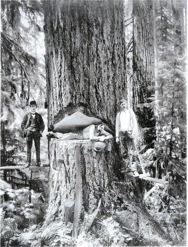 Creepy Photos And Finds (36 pics)