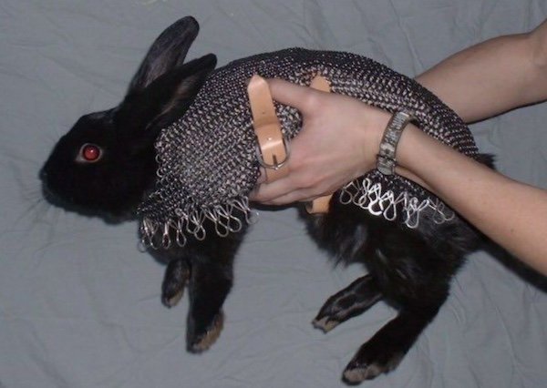 Creepy Photos And Finds (36 pics)