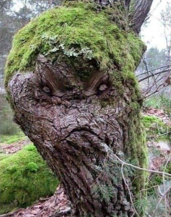 Creepy Photos And Finds (36 pics)