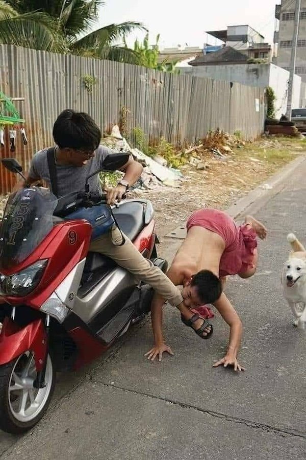 What Is Going On Here? (25 pics)