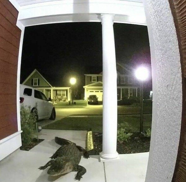 Creepy Photos And Finds (36 pics)