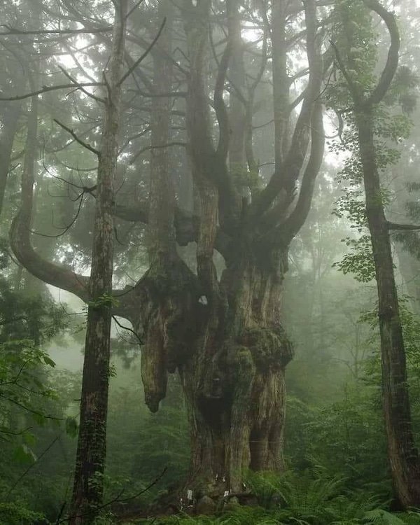 Creepy Photos And Finds (36 pics)