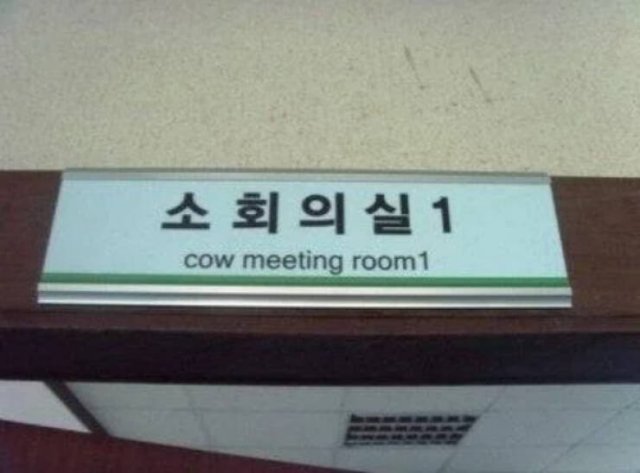 Failed Translation (26 pics)