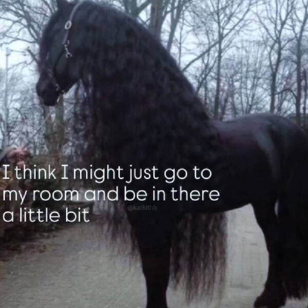 Heartwarming Posts And Jokes (26 pics)