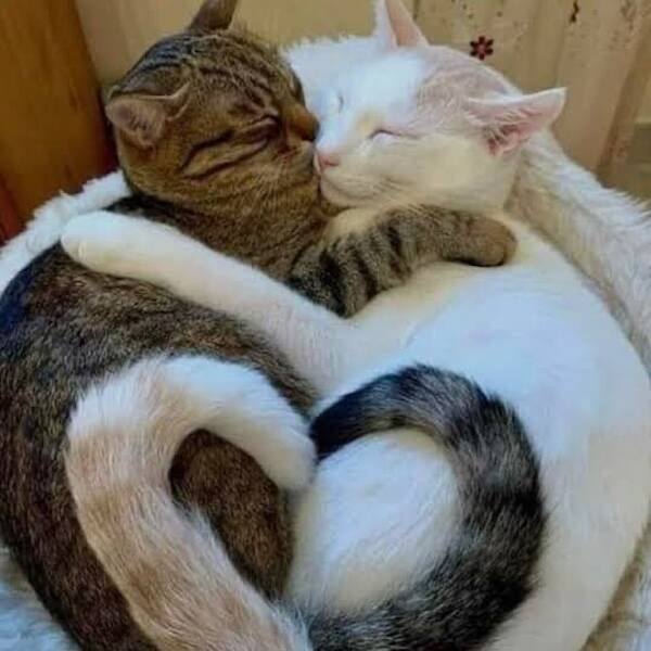 Heartwarming Posts And Jokes (26 pics)