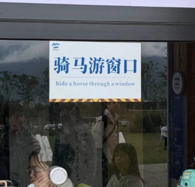Failed Translation (26 pics)