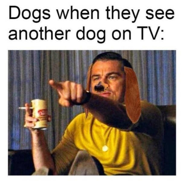 Heartwarming Posts And Jokes (26 pics)