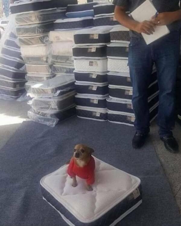 Heartwarming Posts And Jokes (26 pics)