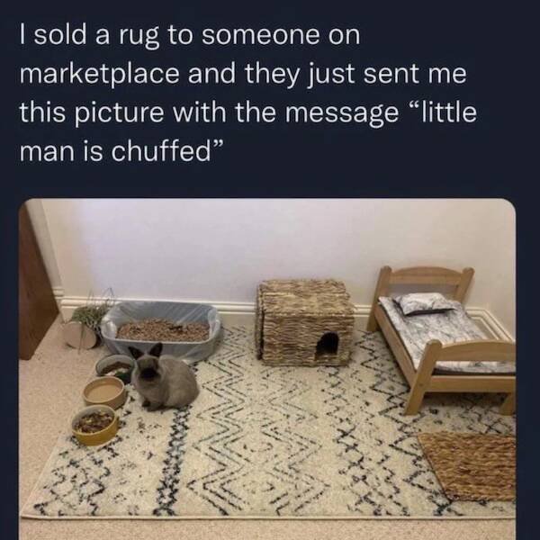 Heartwarming Posts And Jokes (26 pics)