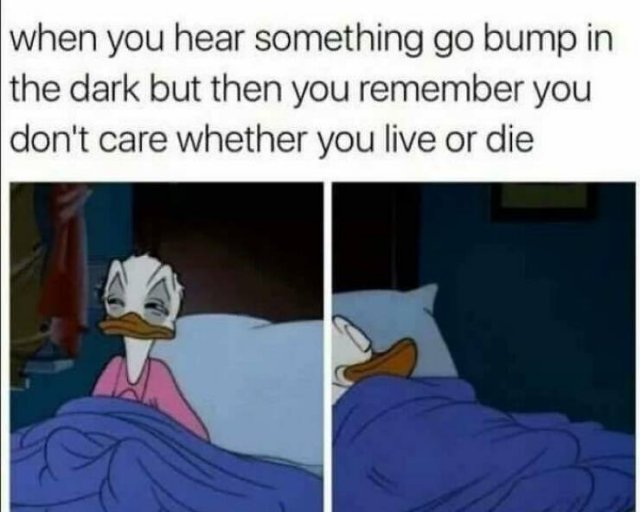 Funny Memes (24 pics)
