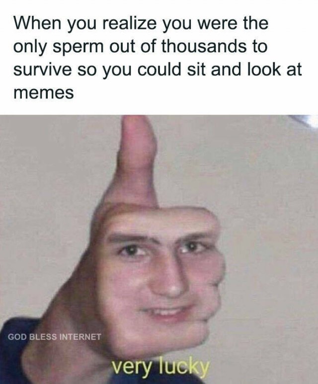 Funny Memes (24 pics)