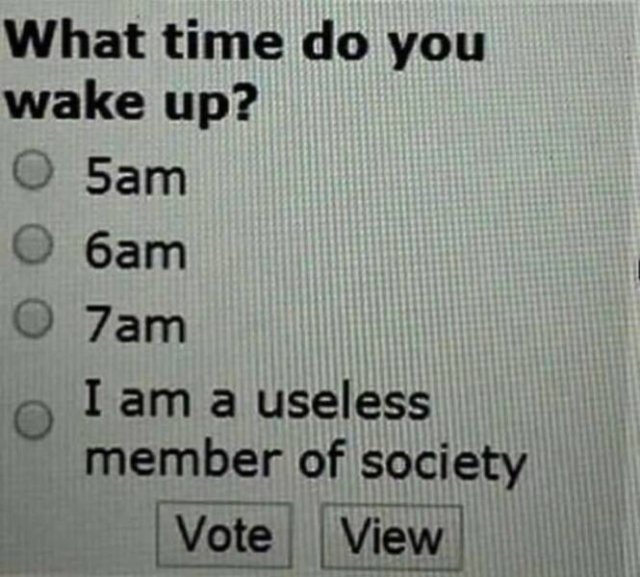 Funny Memes (24 pics)
