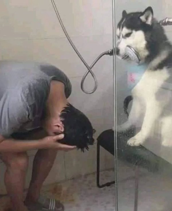 What Is Going On Here? (29 pics)