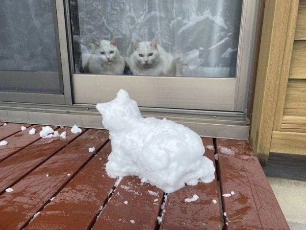 What Is Going On Here? (29 pics)