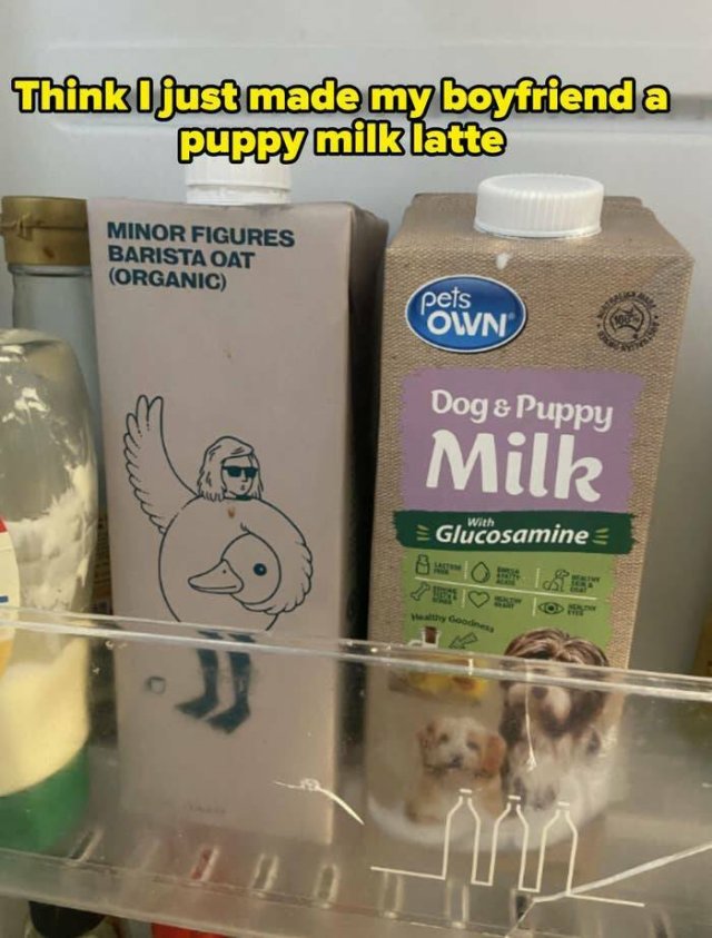 Funny Failures In Family Life (25 pics)