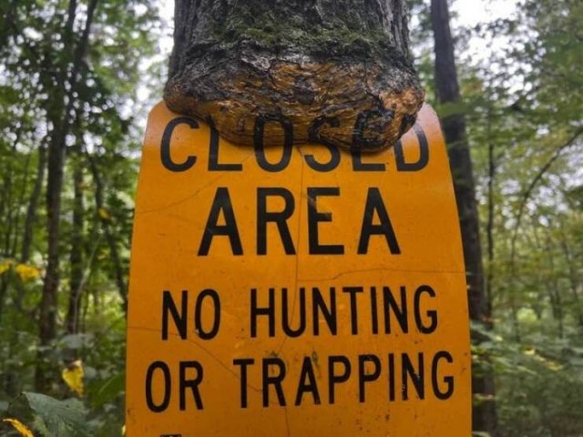 Interesting Finds (20 pics)
