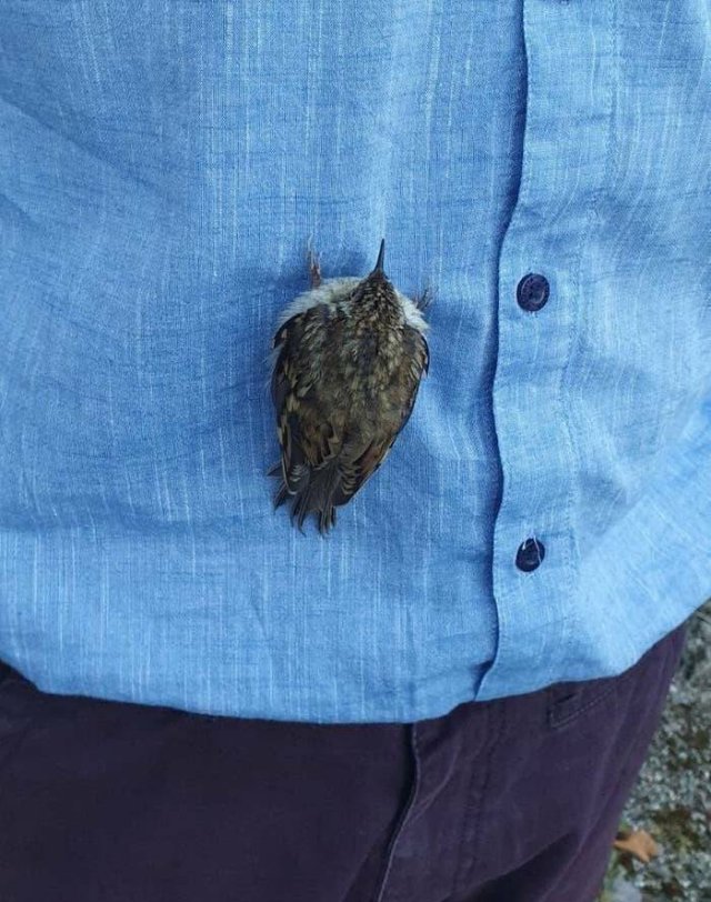 Interesting Finds (20 pics)