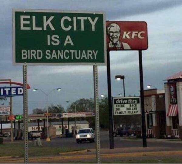 Hilarious Coincidences (21 pics)