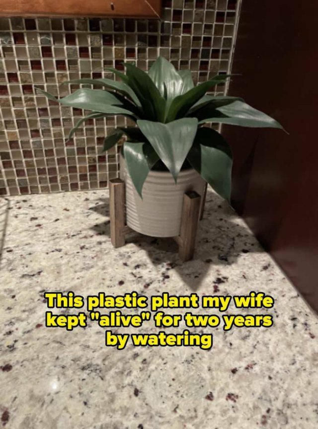 Funny Failures In Family Life (25 pics)