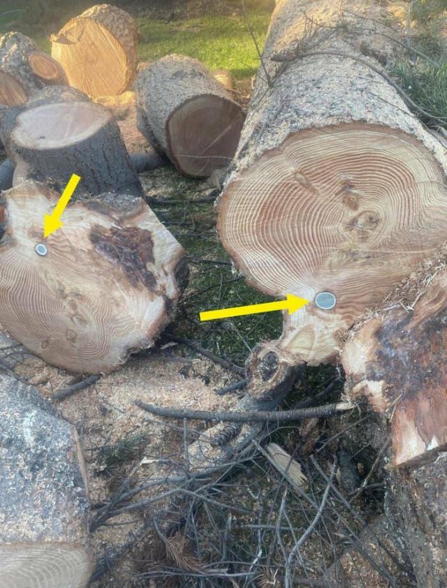 Interesting Finds (20 pics)