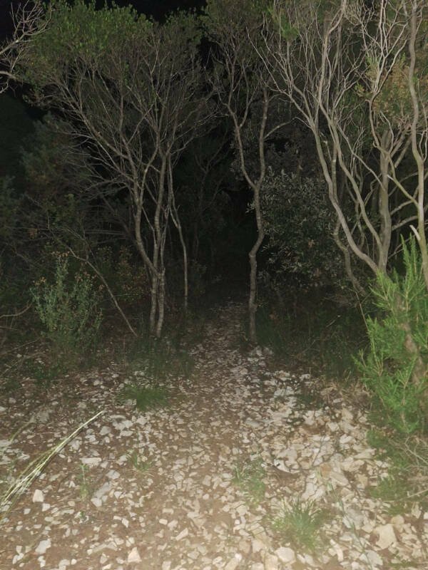 Creepy Photos And Finds (19 pics)