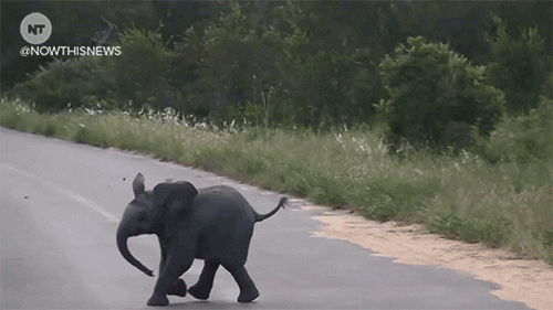 Random Facts (15 gifs) Random Facts (15 gifs)