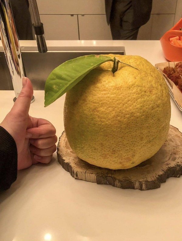 Giant Things (32 pics)